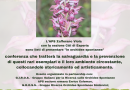 Monticelli di Esperia, conferenza sulle orchidee spontanee del Parco dei Monti Aurunci