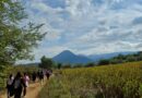 IC1Pontecorvo/La Storia in Trekking: i ragazzi alla scoperta dei sentieri di Monte Menola